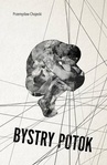ebook Bystry potok - Przemysław Chojecki