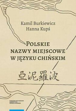 ebook Polskie nazwy miejscowe w języku chińskim