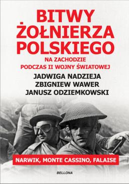 ebook Bitwy żołnierza polskiego na Zachodzie. Narwik, Monte Cassino, Falaise