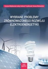 ebook Wybrane problemy zrównoważonego rozwoju elektroenergetyki - Andrzej T. Szablewski,Tomasz Motowidlak,Grażyna Wojtkowska-Łodej