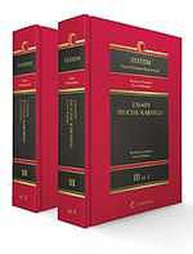 ebook System Prawa Karnego Procesowego. Tom III. Zasady procesu karnego. Vol. 1 i Vol. 2