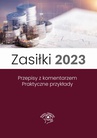 ebook Zasiłki 2023, Stan prawny maj 2023, wydanie po nowelizacji Kodeksu pracy z kwietnia 2023 r. - Marek Styczeń