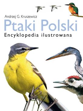 ebook Ptaki Polski. Encyklopedia ilustrowana