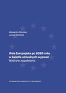ebook Unia Europejska po 2020 roku w świetle aktualnych wyzwań. Wybrane zagadnienia - Aleksandra Borowicz,Joanna Stefaniak