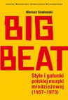 ebook Big Beat - Mariusz Gradowski