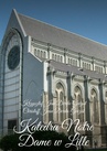 ebook Katedra Notre Dame w Lille - Krzysztof Derda-Guizot