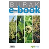 ebook Atlas Burak. Identyfikacja agrofagów oraz niedoborów pokarmowych - Opracowanie zbiorowe