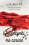 ebook Walentynki na czacie. Opowiadanie erotyczne - Liv Water