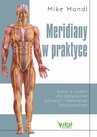 ebook Meridiany w praktyce - Mike Mandl
