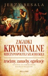 ebook Zagadki kryminalne Rzeczypospolitej szlacheckiej - Jerzy Besala
