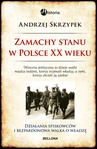 ebook Zamachy stanu w Polsce w XX wieku - Andrzej Skrzypek