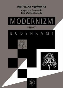 ebook Modernizm między budynkami