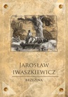 ebook Brzezina - Jarosław Iwaszkiewicz