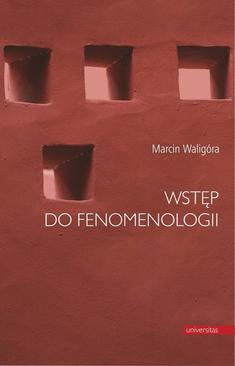 ebook Wstęp do fenomenologii