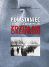 ebook Powstaniec i obywatel z Wielkopolski - Andrzej Furier
