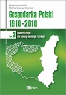 ebook Gospodarka Polski 1918-2018 tom 3 - Michał Gabriel Woźniak