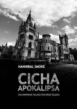 ebook Cicha apokalipsa. Zrujnowane pałace Dolnego Śląska