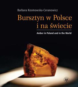 ebook Bursztyn w Polsce i na świecie. Amber in Poland and in the World