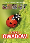 ebook Atlas owadów. 250 polskich gatunków - Jacek Twardowski