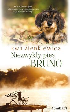 ebook Niezwykły pies Bruno