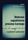 ebook Wybrane zagadnienia procesu karnego w pytaniach i poleceniach - Aneta Kamińska-Nawrot