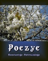 ebook Poezye - Konstanty Piotrowski