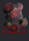 ebook Na wzgórzu róż - Stefan Grabiński