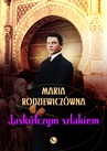ebook Jaskółczym szlakiem - Maria Rodziewiczówna