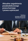 ebook Aktualne zagadnienia pozakodeksowego prawa karnego i prawa wykroczeń - Radosław Krajewski,Jarosław Janikowski