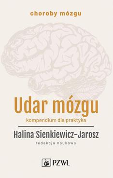 ebook Udar mózgu. Kompendium dla praktyka
