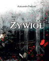 ebook Żywioły - Erica Spindler,Alex Kava,J. T. Ellison,Aleksandra Bartosik