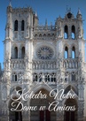 ebook Katedra Notre Dame w Amiens - Krzysztof Derda-Guizot