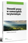 ebook Stosunki pracy w samorządzie terytorialnym - Helena Szewczyk