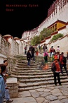 ebook Niewidoczny Tybet -  Oser