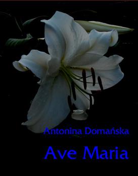 ebook Ave Maria - wzruszająca opowieść