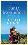 ebook Czekaj na mnie - Santa Sebag-Montefiore