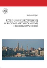 ebook Role Unii Europejskiej w regionie Afryki Północnej i Bliskiego Wschodu - Justyna Zając