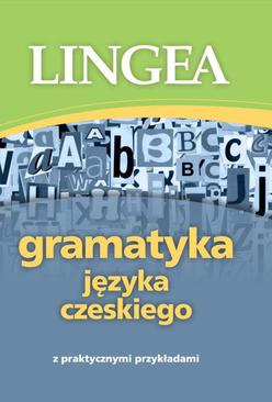 ebook Gramatyka języka czeskiego z praktycznymi przykładami