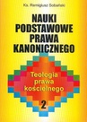 ebook Nauki podstawowe prawa kanonicznego - Remigiusz Sobański