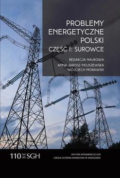ebook Problemy energetyczne Polski. Część I. Surowce
