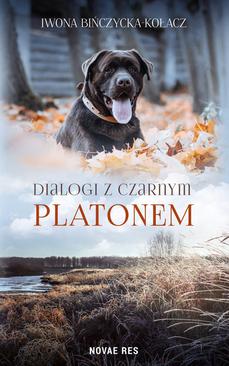 ebook Dialogi z czarnym Platonem