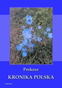ebook Kronika polska Prokosza