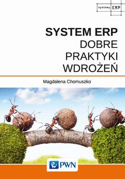 ebook System ERP - Dobre praktyki wdrożeń