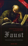 ebook Faust. Tragedii część pierwsza - Johann Wolfgang von Goethe,Paweł Jan Węcławski