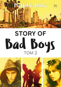 ebook Story of Bad Boys 2