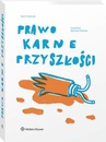 ebook Prawo karne przyszłości - Kamil Mamak