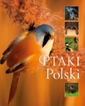 ebook Ptaki Polski (Wyd. 2016) - Karolina Matoga