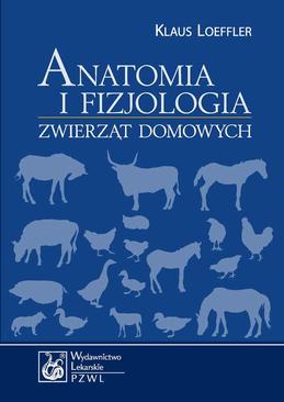 ebook Anatomia i fizjologia zwierząt domowych