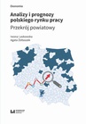 ebook Analizy i prognozy polskiego rynku pracy - Agata Żółtaszek,Iwona Laskowska