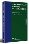 ebook Stosunki pracy u małych pracodawców - Grzegorz Goździewicz